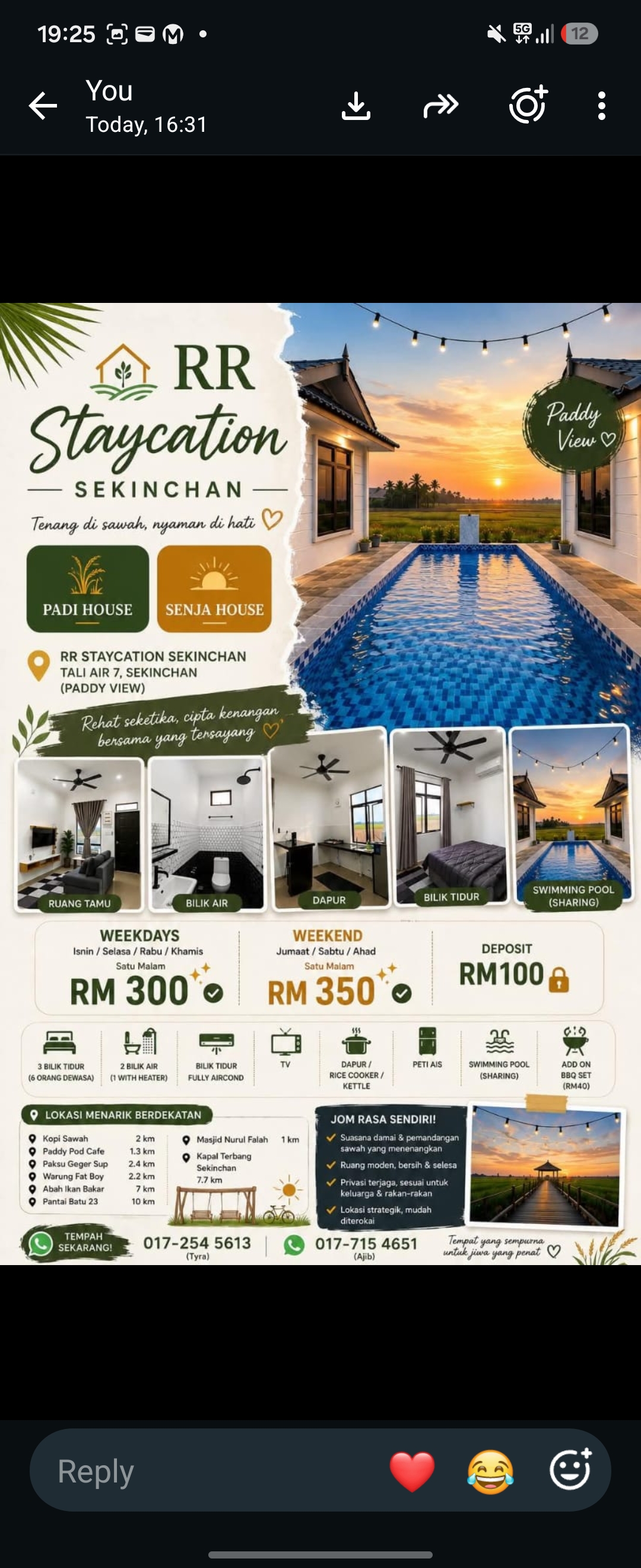 RR Staycation Sekinchan - kolam renang dan pemandangan sawah padi